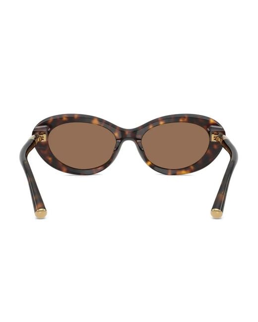 Dolce & Gabbana Brown Tortoiseshell Oval-Frame Sunglasses
