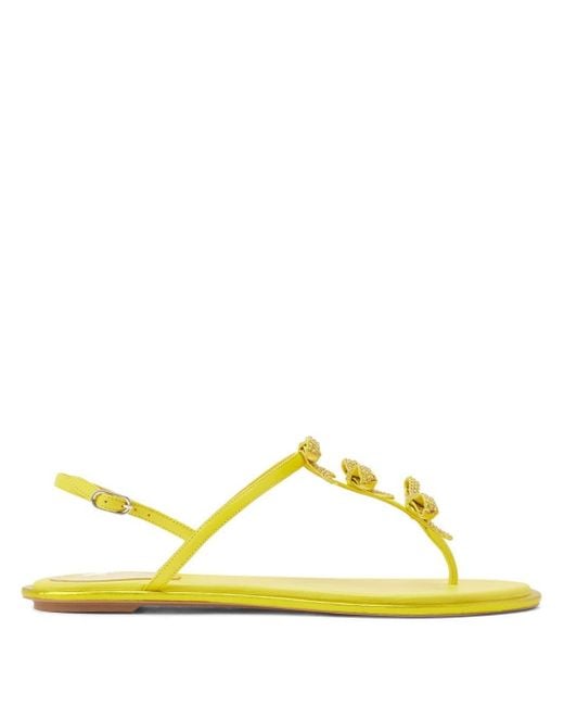 Rene Caovilla Yellow Caterina Bow-embellished Leather Sandals