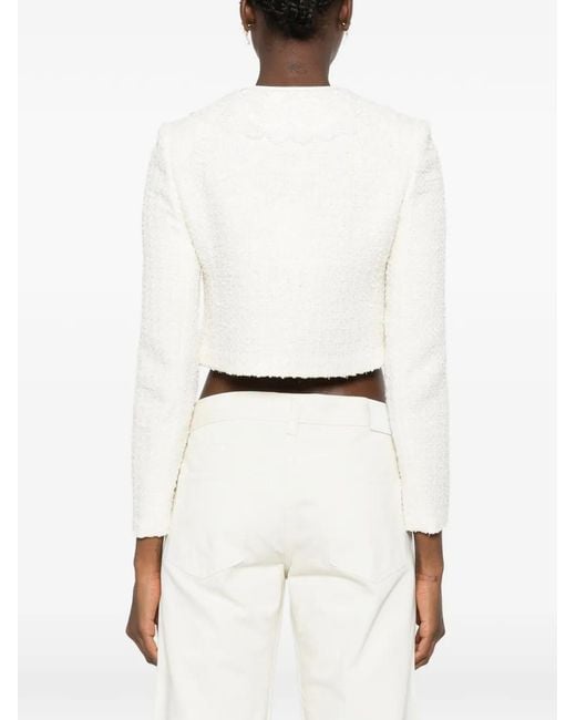 Self-Portrait White Lace-Collar Bouclé Jacket