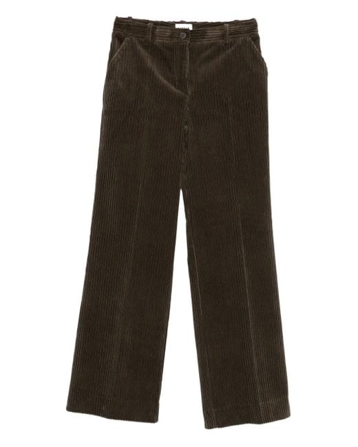 P.A.R.O.S.H. Green Straight-Leg-Hose aus Cord