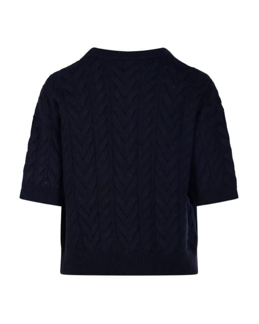 Max Mara Blue Sweaters