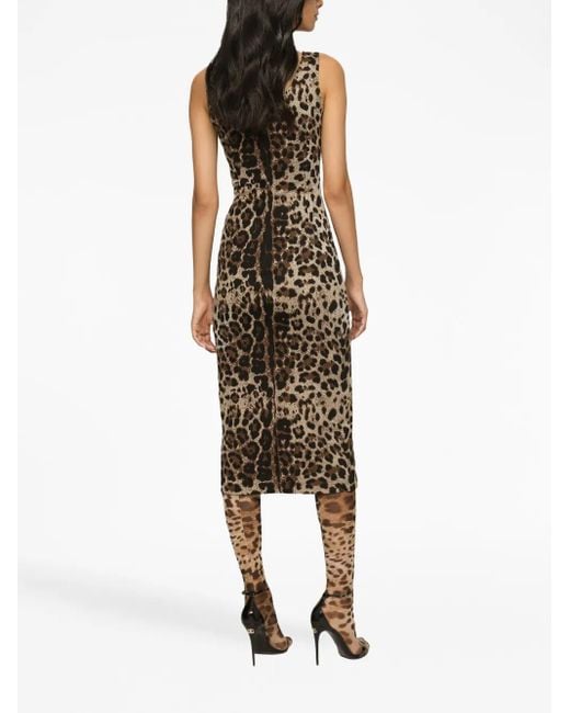 Dolce & Gabbana Natural Leopard-Print Sleeveless Dress