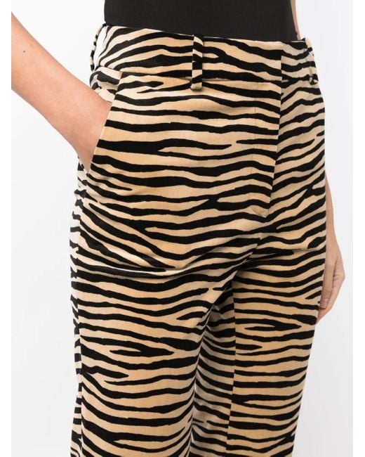 Rabanne Multicolor Tiger-Print Cotton Twill Flared Pants