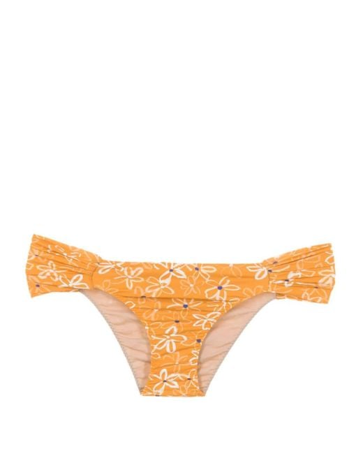 Clube Bossa Orange Ricy Floral-print Bikini Bottoms