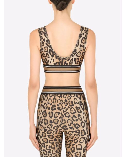 Dolce & Gabbana Brown Leopard-Print Crop Top