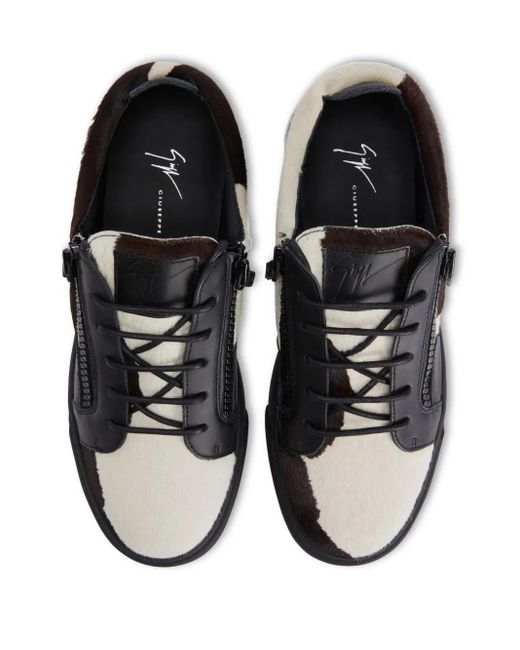 Giuseppe Zanotti Black Frankie Sneakers for men