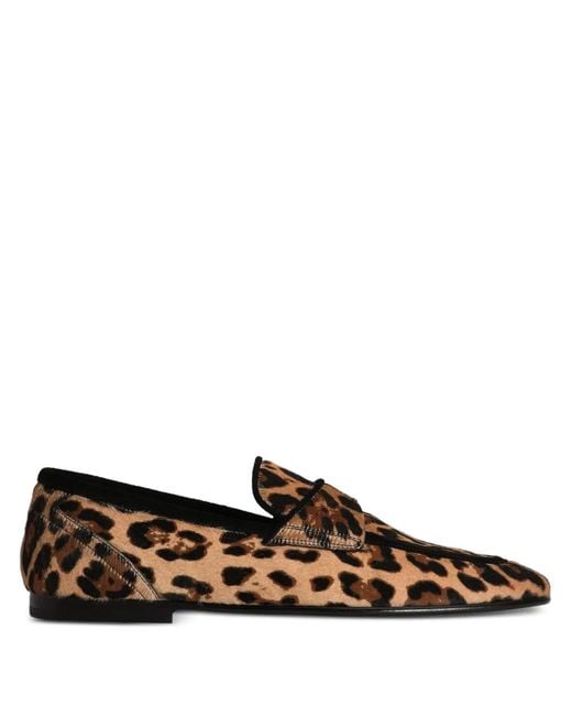 Dolce & Gabbana Brown Leopard-Print Loafers for men
