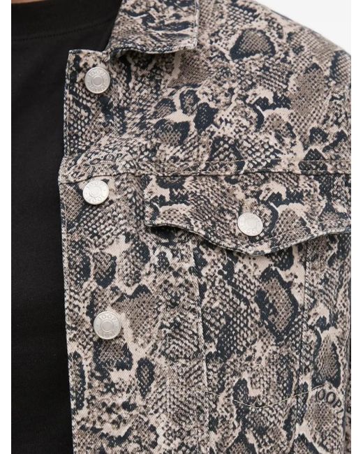 Joop! Gray Snake-print Denim Jacket