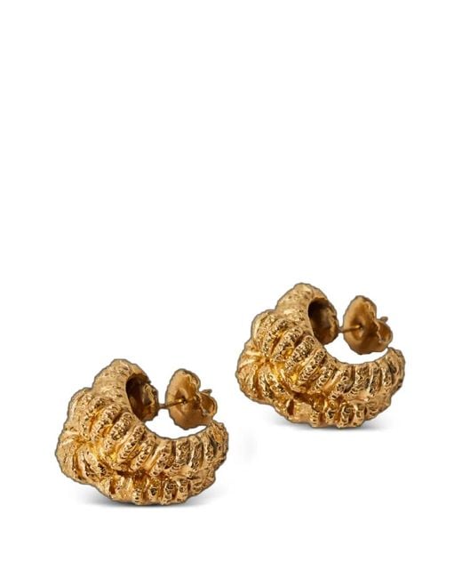 Paola Sighinolfi Metallic Talisman Knot Earrings