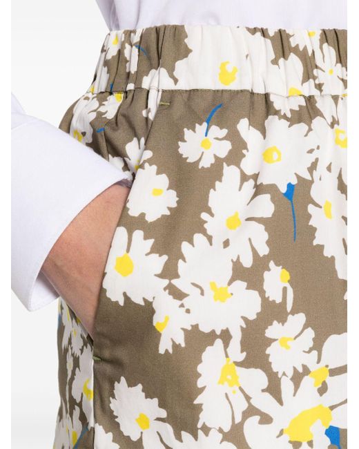 MSGM White Floral Print Shorts