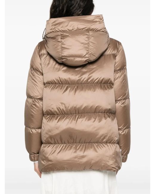 Max Mara Brown Seia Puffer Jacket
