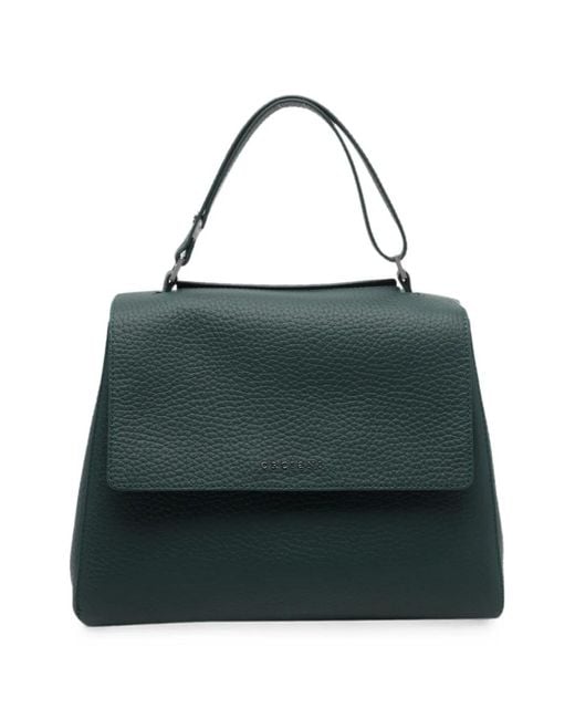 Orciani Green Sveva Leather Handbag