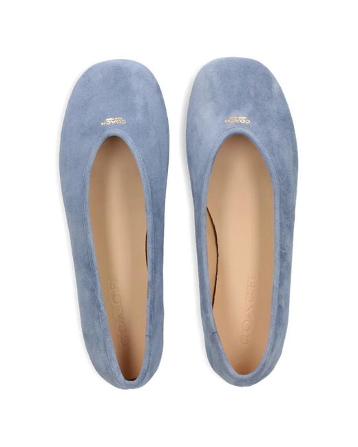 COACH Blue Suede Ballerinas 'Houston'
