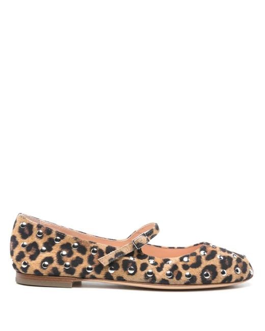 Agl Attilio Giusti Leombruni Brown Studded Ballet Flats