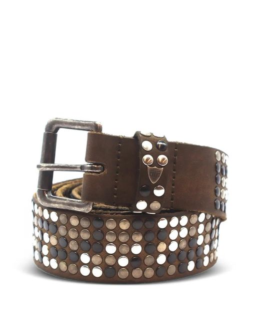 HTC Brown 5.000 Studs Leather Belt for men