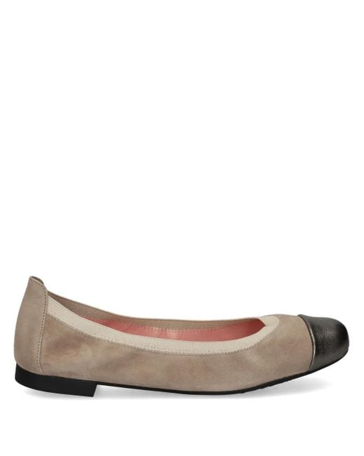 Pretty Ballerinas Brown Shirley Ballerinas