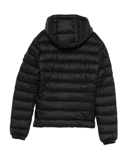 Superdry Black Hooded Padded Jacket