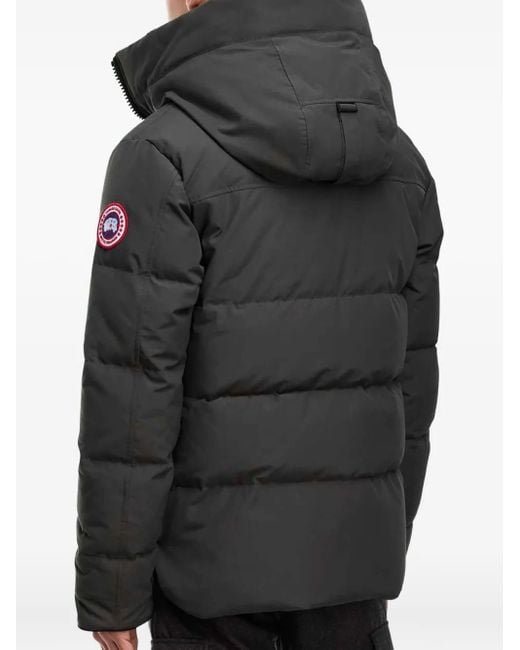 Canada Goose Gray Quilted Puffer Jacket for men
