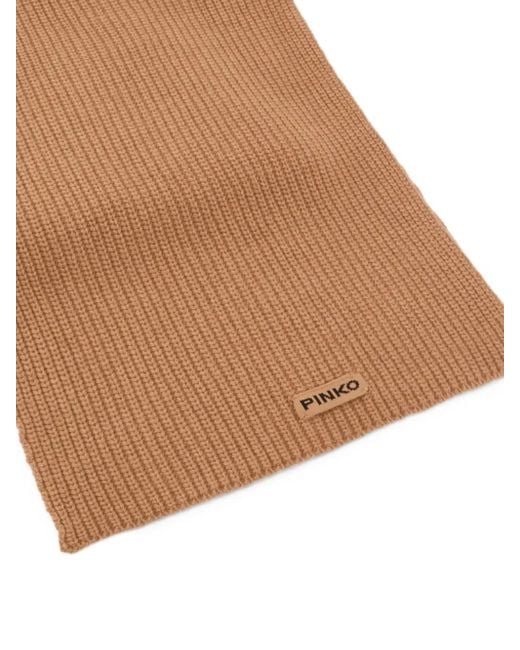 Pinko Brown Slovenia