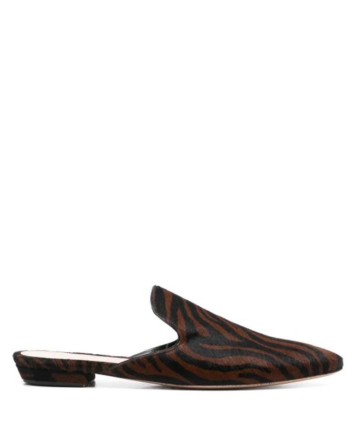 Gianvito Rossi Brown Zebra-Print Slippers