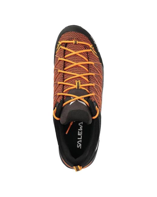 Salewa Brown Mtn Lace-Up Performance Trainers for men