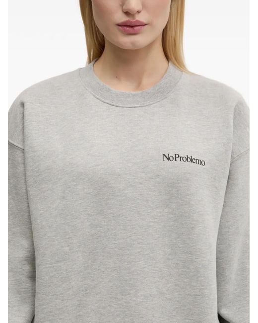 Aries Gray Crew-Neck Sweatshirt