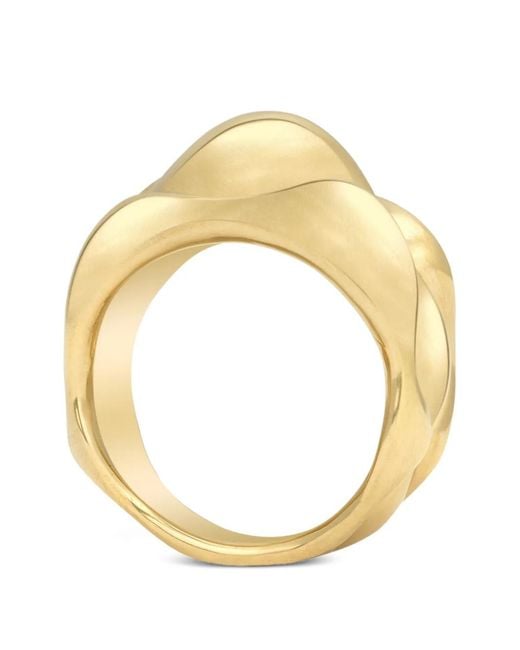 VRAM Cayrn Iii Ring in het Metallic