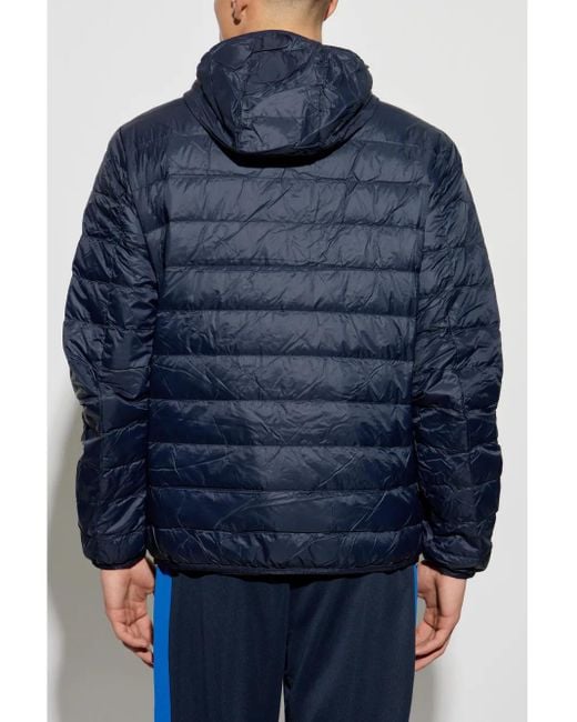 EA7 Blue Logo-Print Padded Jacket for men