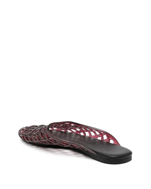 Senso Purple Jacey Flatted Mules
