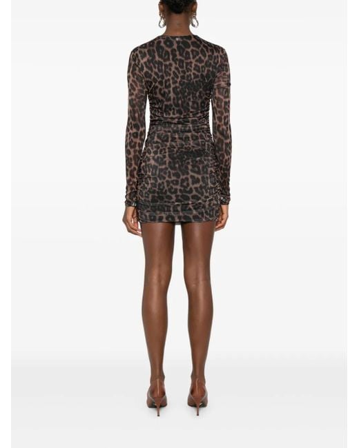 Aniye By Black Leopard-Print Mesh Mini Dress