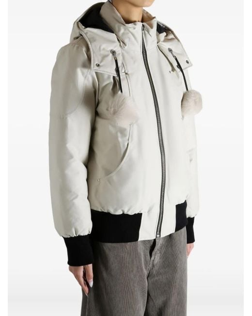 Moose Knuckles Gray Hooded Pompom Jacket