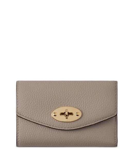 Portafoglio Darley di Mulberry in Gray