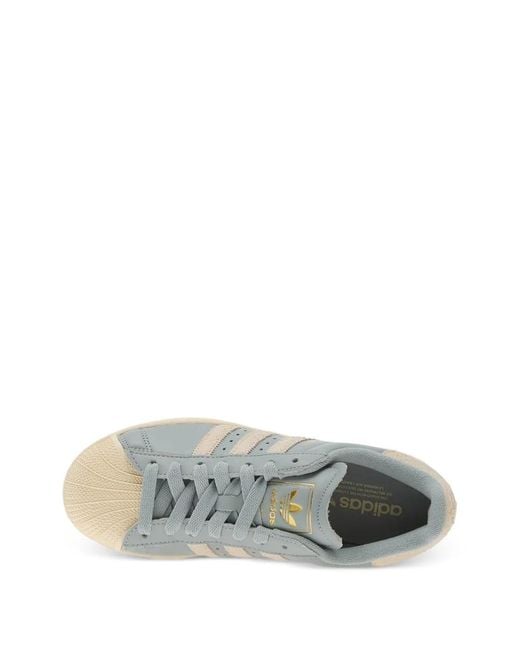 Adidas Blue Superstar Shell-Toe Sneakers