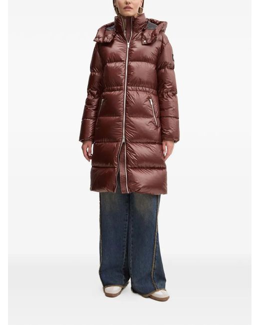 Moose Knuckles Brown Padded Hooded Jacket