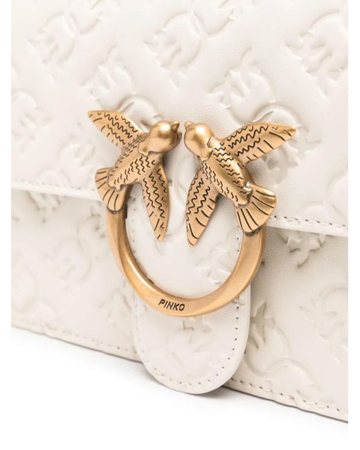 Pinko Natural Bags
