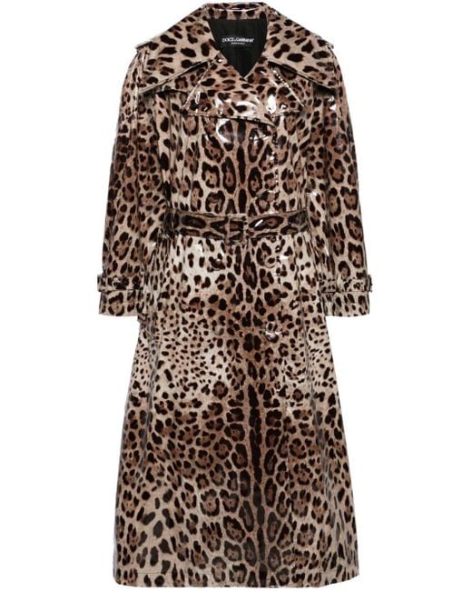 Dolce & Gabbana Natural Brown Leopard-print Trench Coat - Women's - Polyester/spandex/elastane