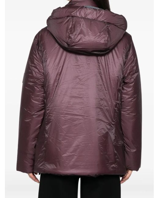 Plumífero Torna Rains de color Brown