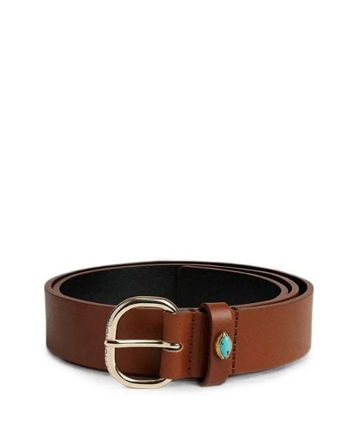 Momoní Brown Desierto Studded-Details Leather Belt