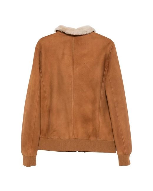 SERGIO MORETTI FIRENZE Brown Shearling-Collar Jacket for men