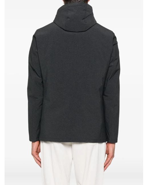 Hernia Herno de hombre de color Black