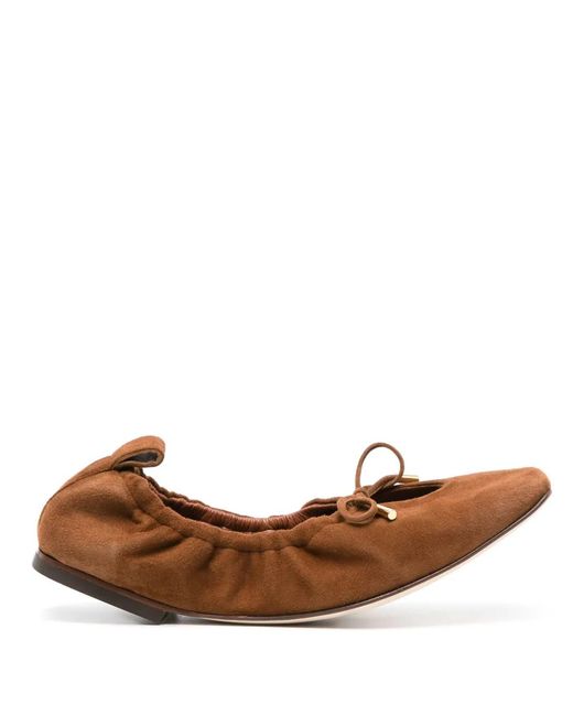 Scarosso Brown Margot Suede Ballerina Shoes