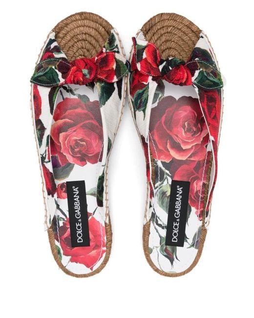 Dolce & Gabbana Brown Dg Logo Floral Canvas Sandal