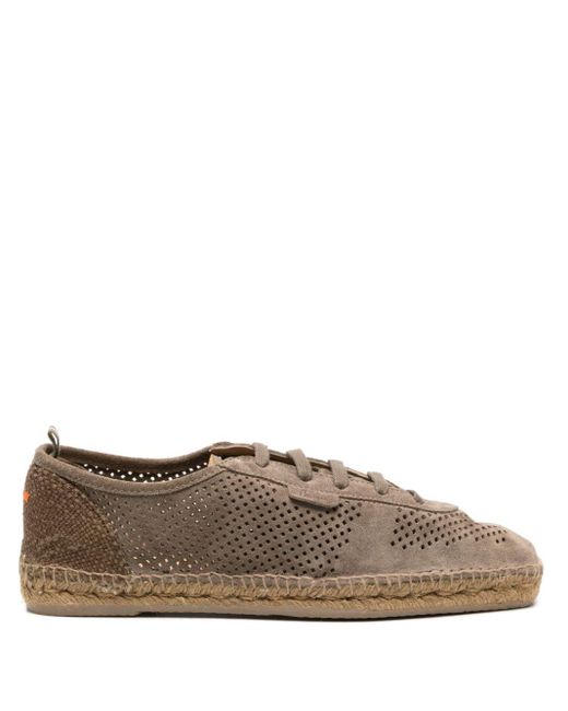Castaner Brown Tomas Perforated Suede Sneakers for men