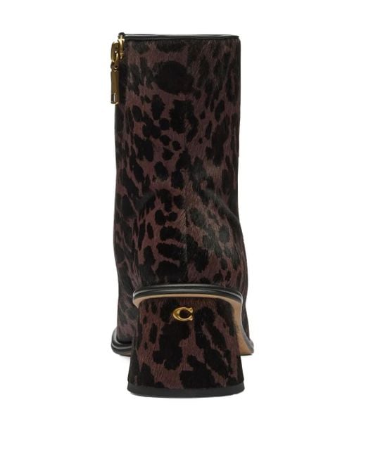 COACH Black Leopard-Print Ankle Boots