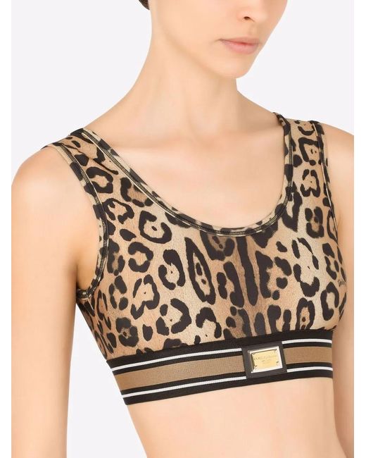 Dolce & Gabbana Brown Leopard-Print Crop Top
