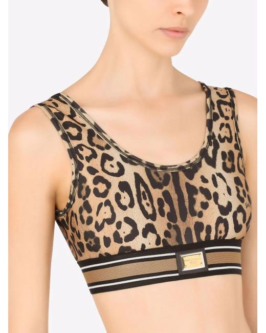Dolce & Gabbana Brown Leopard-Print Crop Top
