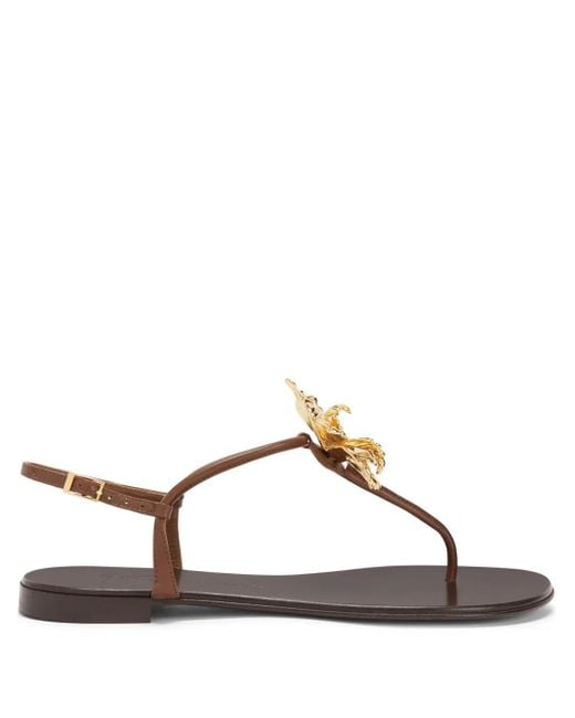 Giuseppe Zanotti Brown Orchid Sandals