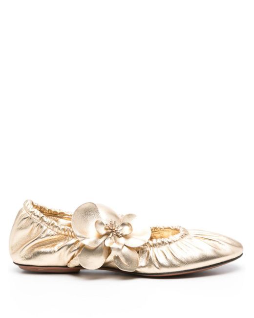 Zimmermann Natural Orchid Leather Ballerina Shoes