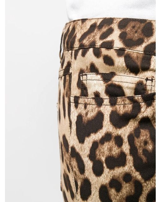 Dolce & Gabbana Multicolor Five-pocket Leopard-print Pants