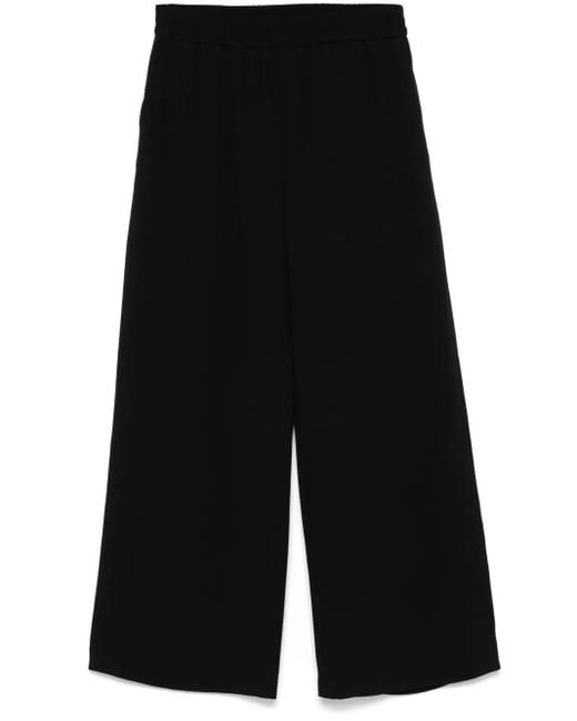 Mark Kenly Domino Tan Black Palmira Trousers